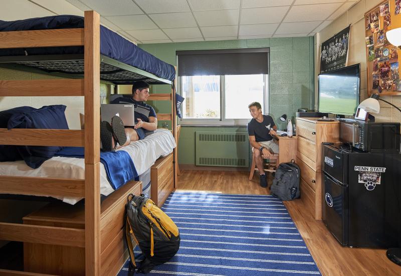 Harmony double dorm bunked