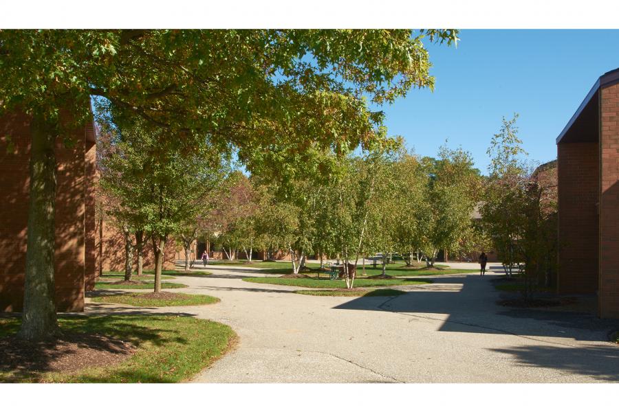 exterior view of the apartment areas