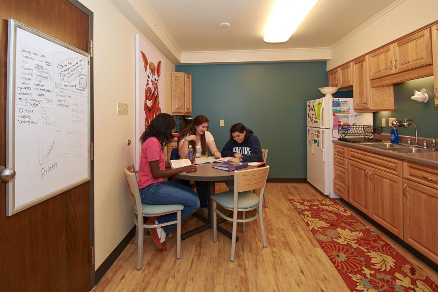 students hanging out in Behrend apartment kitchen