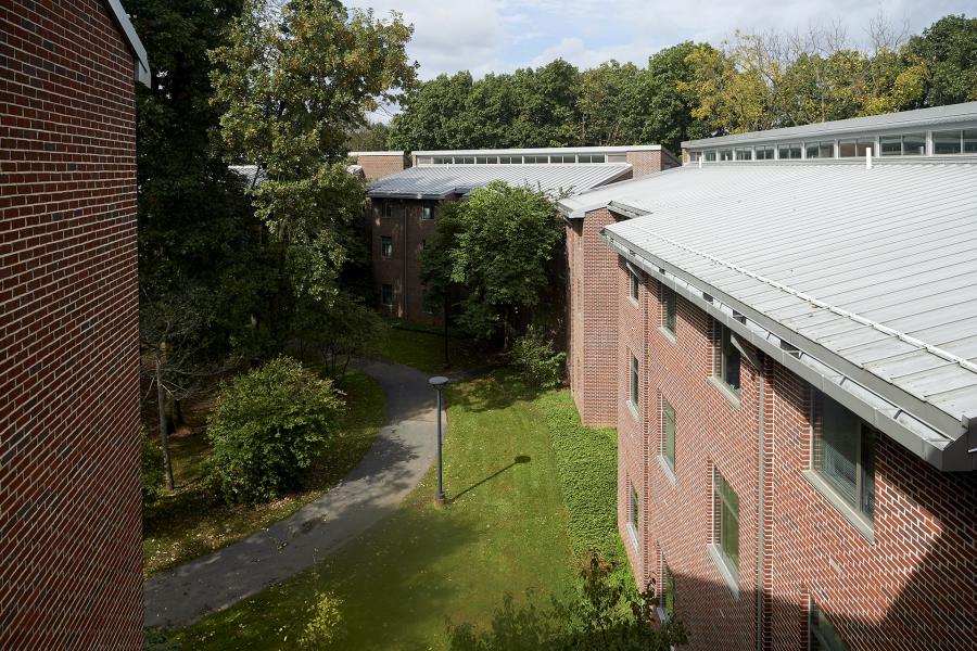 Woods exterior view