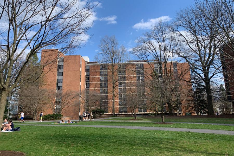 beaver exterior