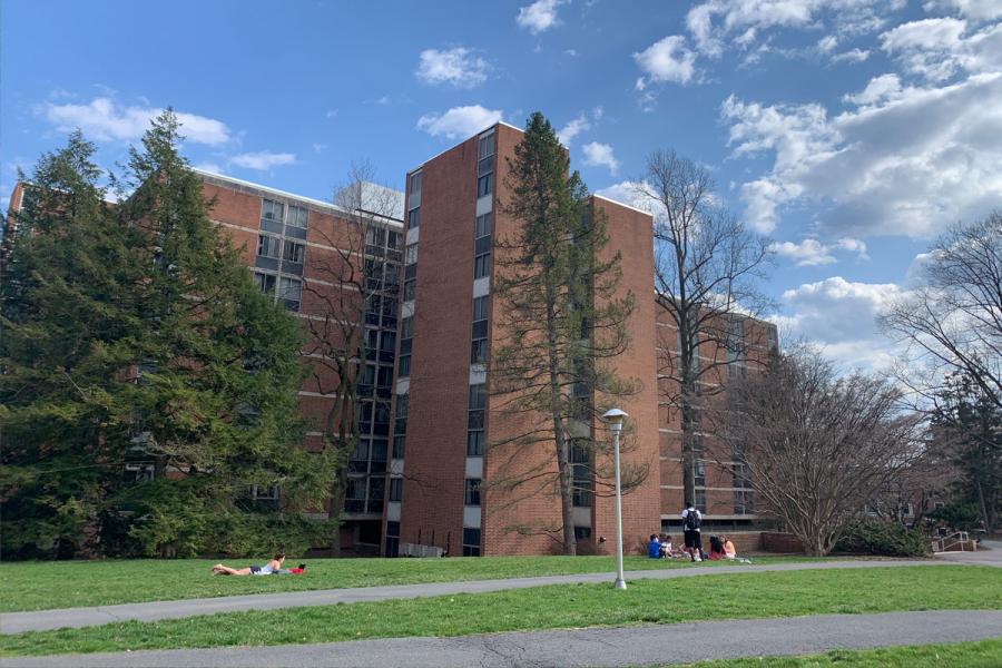 beaver exterior