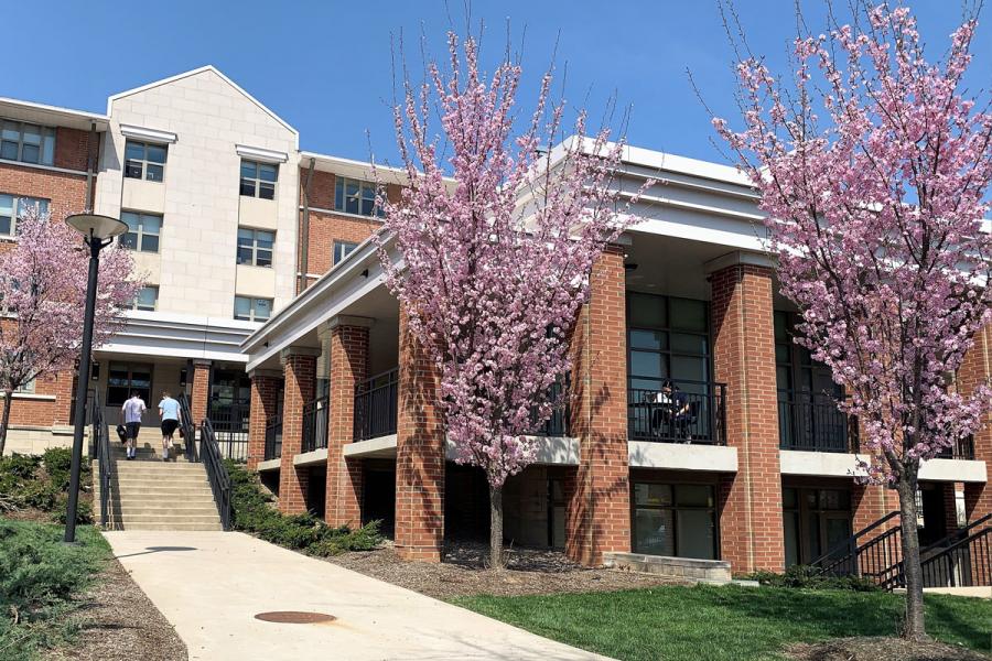 hibbs exterior