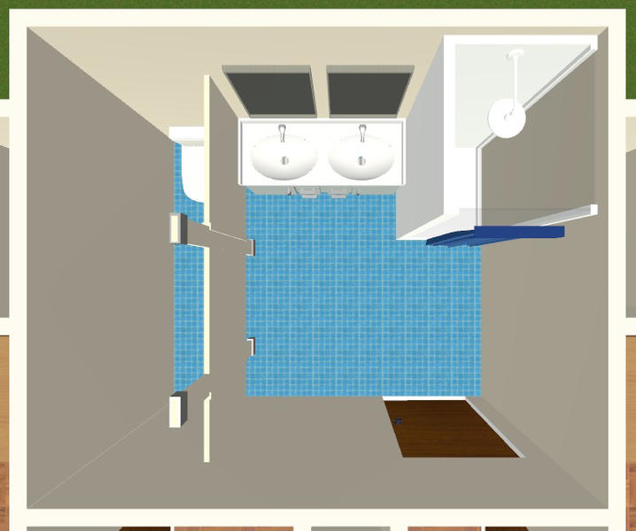 overhead view of suite bathroom