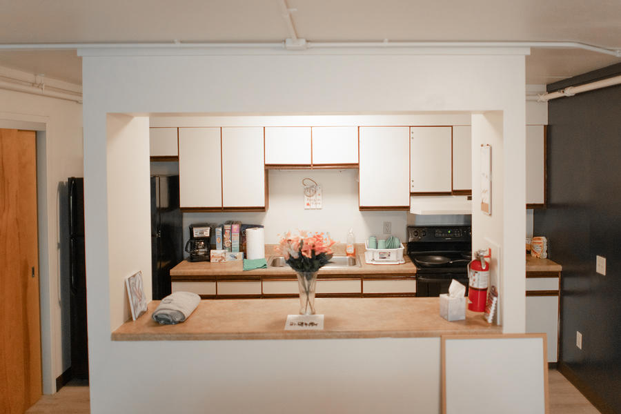 Nittany Apartment Kitchen - Counter View