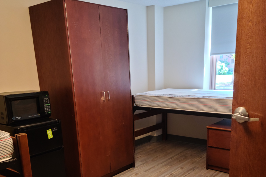 North Suite showing bed and wardrobe closet