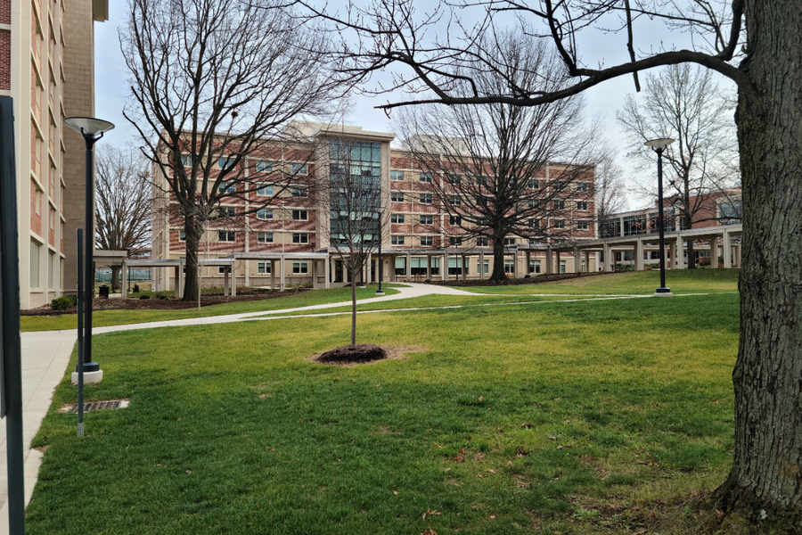 Stone Hall building exterior showing building from a distance