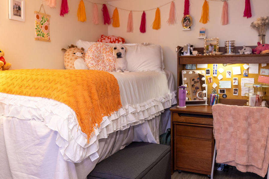 Dorm bedroom decorated with orange and pink