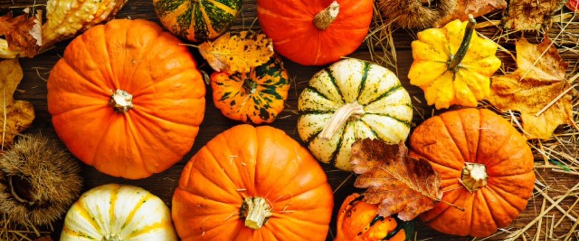 Pumpkins and squash on top of hay.